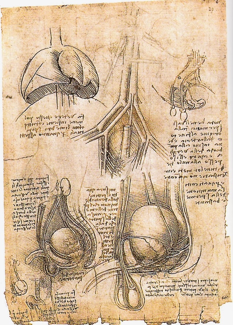 Leonardo+da+Vinci-1452-1519 (443).jpg